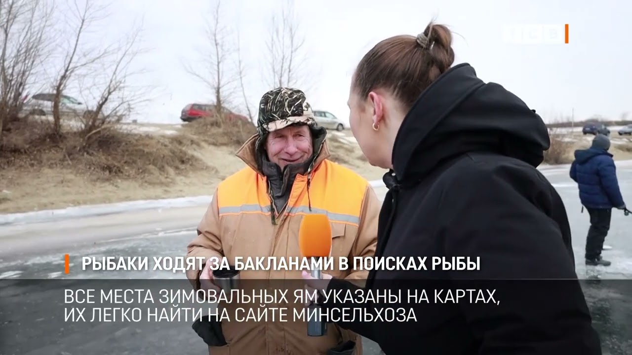 Рыбаки ходят за бакланами в поисках рыбы