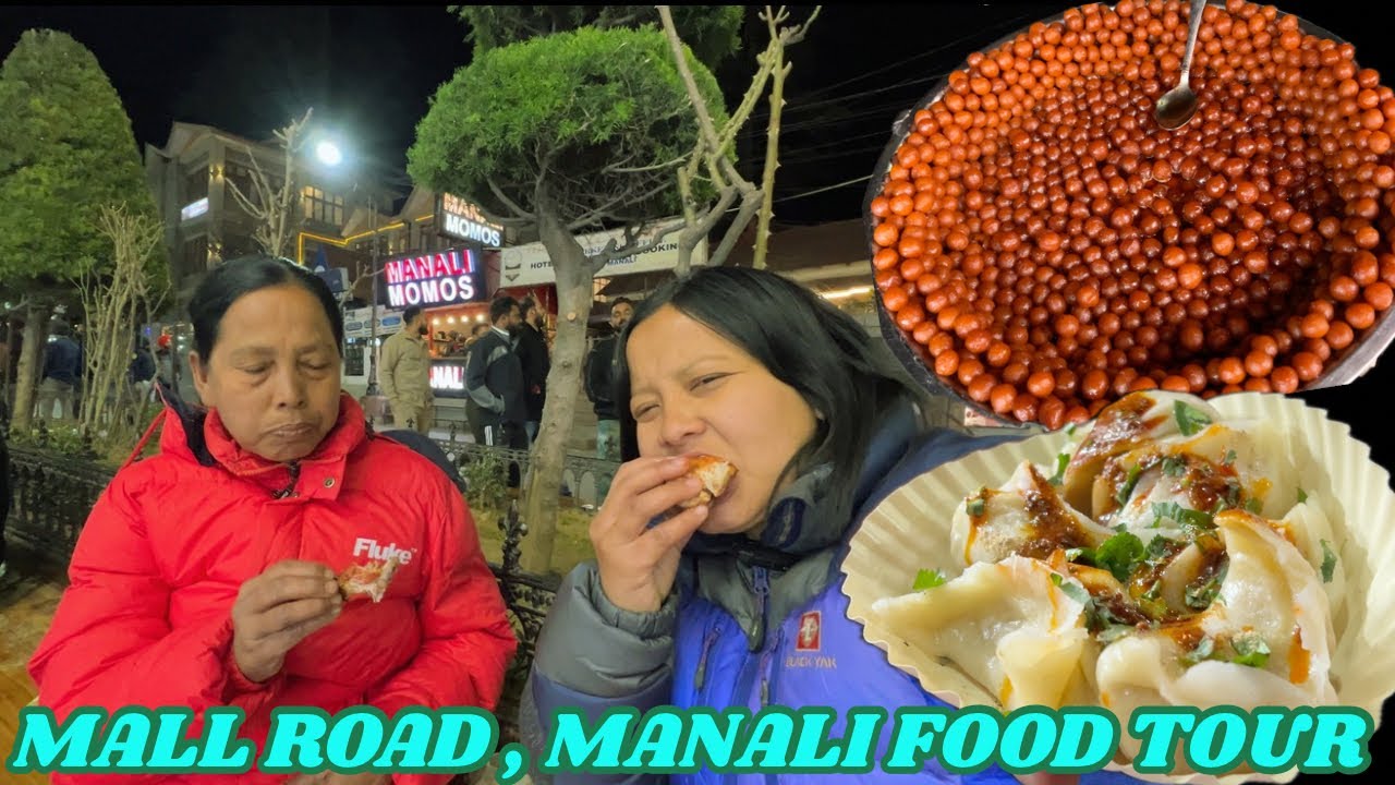 FIRST TIME STREET FOOD TOUR IN MALL ROAD, MANALI🔥🔥🔥