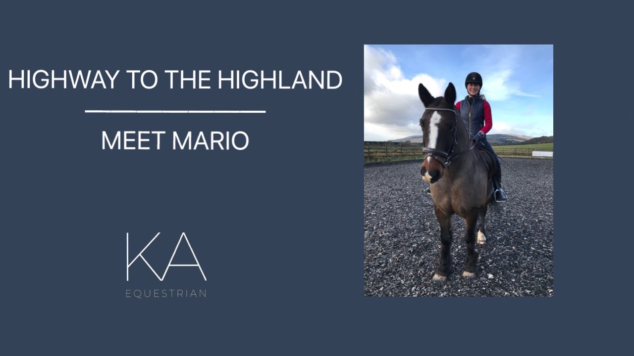 HIGHWAY TO THD HIGHLAND - MEET MARIO