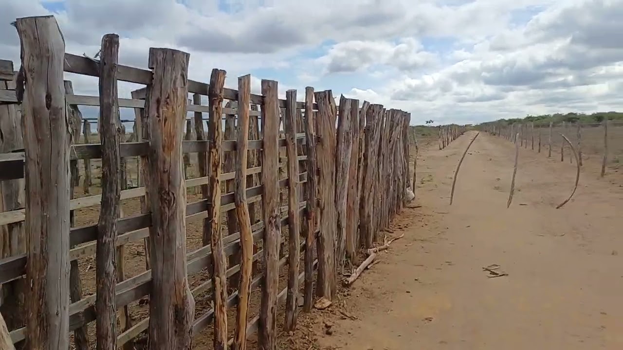 Vendo barato 21 hectares 2010 mil vendo metade também 8799102 3154 