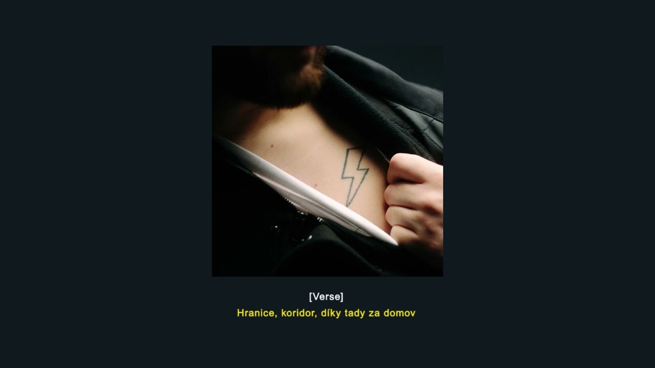 Calin &ndash; Hannah Montana (Text)