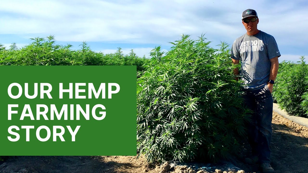How to Grow Hemp - Our CBD Hemp Farming Story