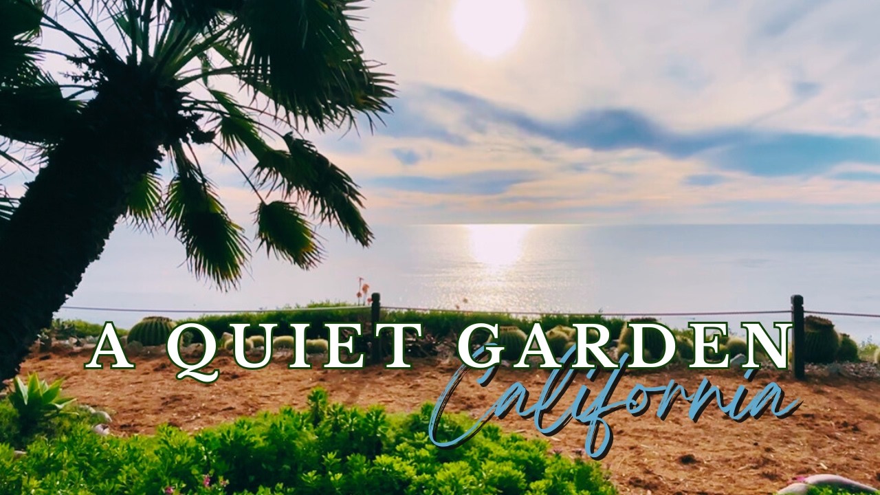 Winter Calm at the Self-Realization Fellowship Gardens | Encinitas CA