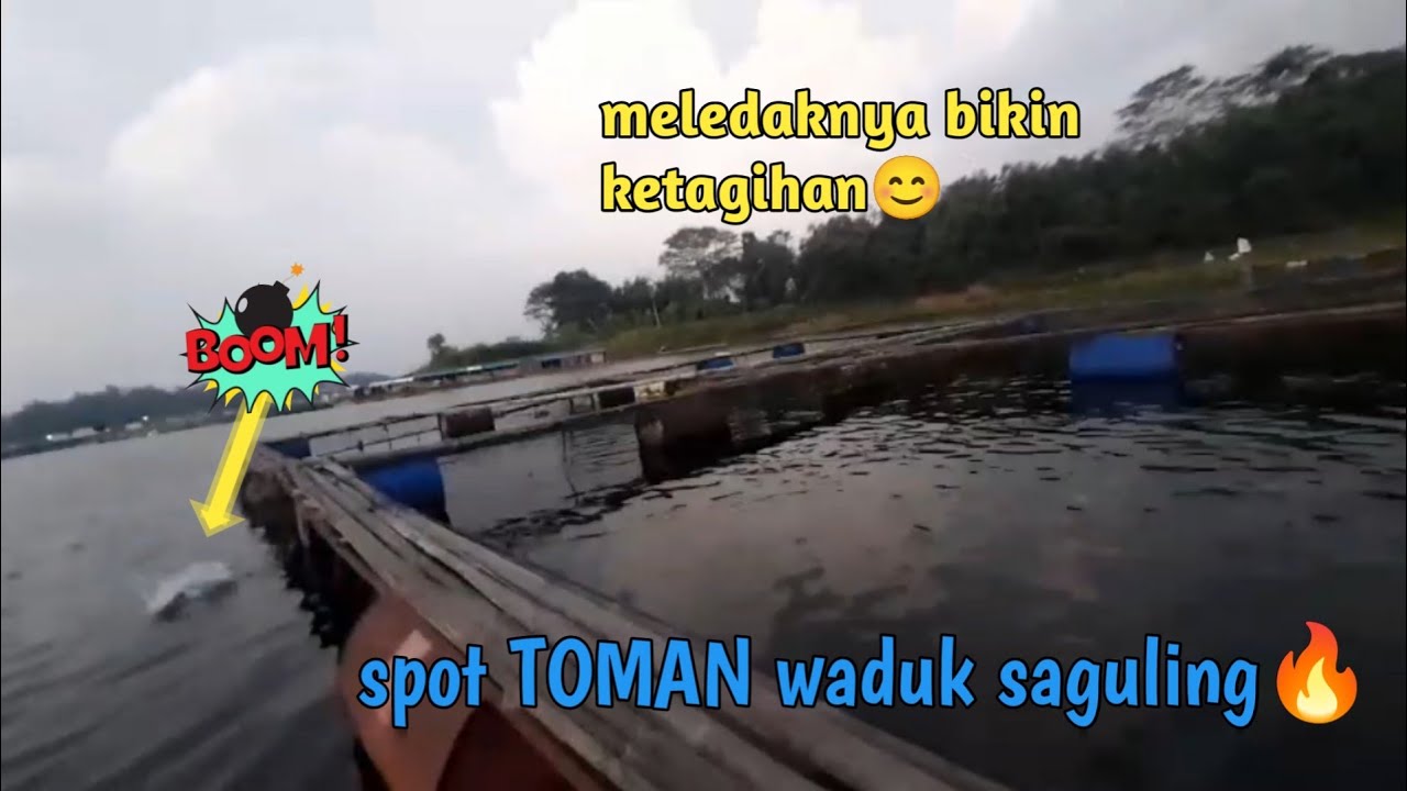  CASTING TOMAN//WADUK SAGULING#mancingcasting#fishing