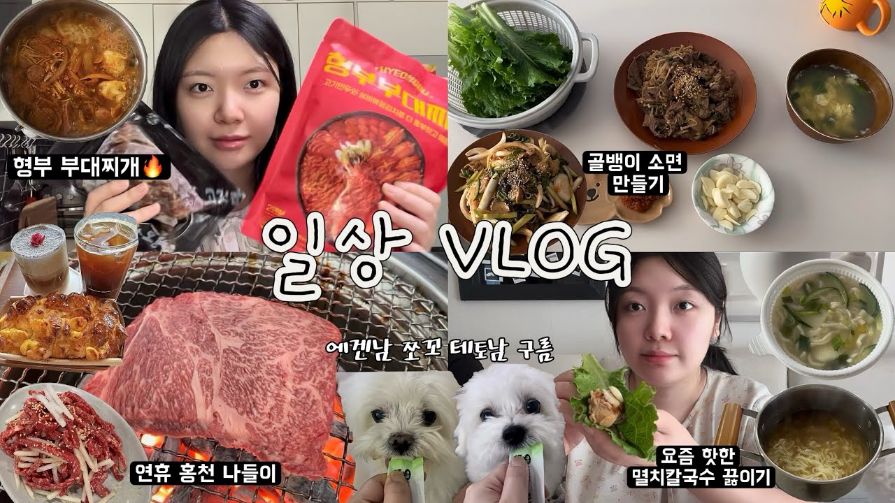 소소한 일상VLOG🍀 | 주말에 골뱅이 소면부터 형부 부대찌개까지 집밥 먹기🍲| 요즘 핫한 멸치칼국수 끓여먹기!!| 설연휴 홍천 나들이☀️ 홍천 맛집, 카페 추천✨