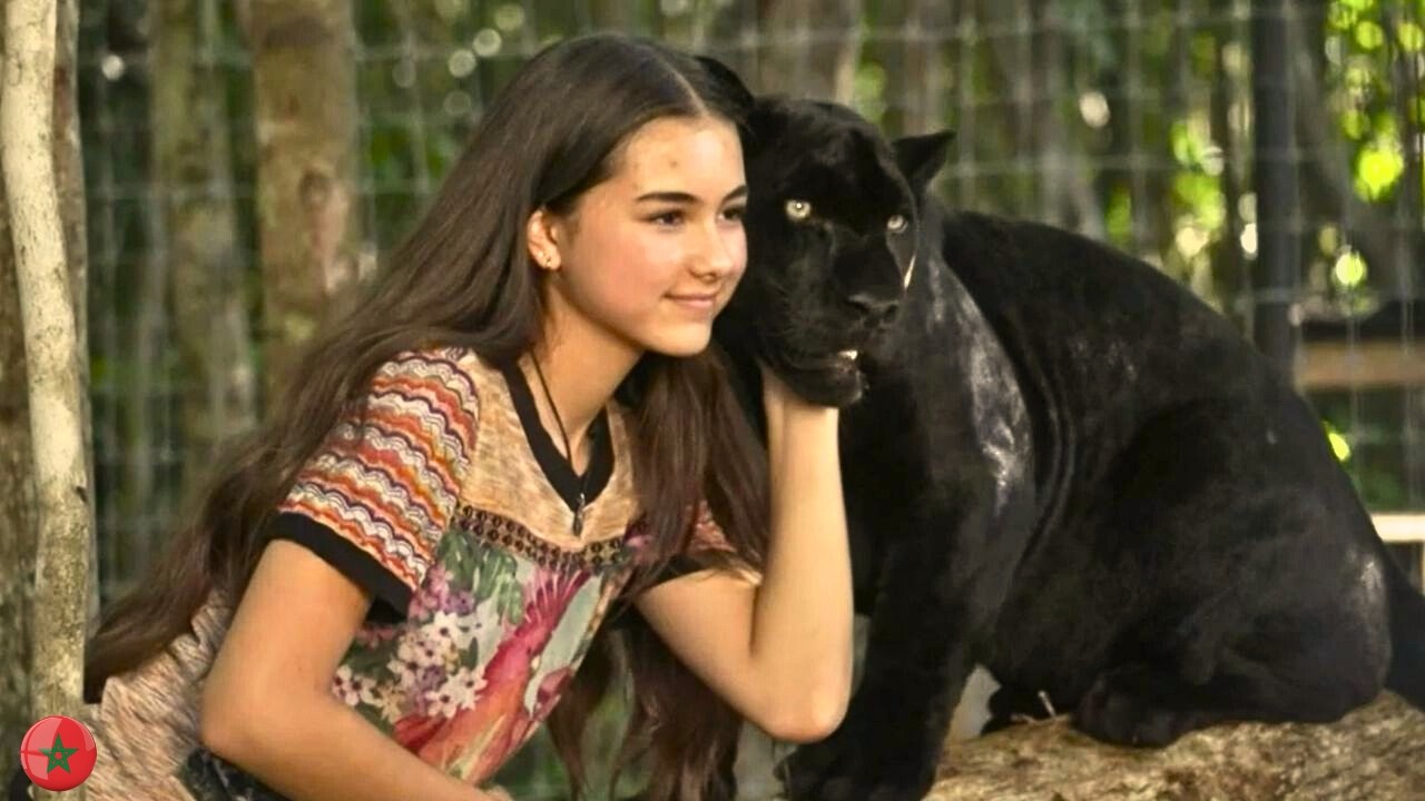عادت إلى غابة الأمازون🌿 لتنقذ صديقتها النمرة 🐅 من عصــ ابة الصيادين 😨  | ملخص فيلم بالدارجة