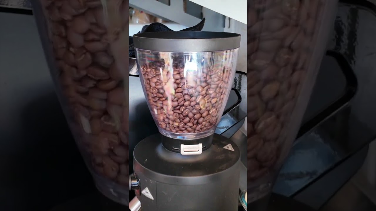 Heute: Exklusives Nerdwissen zum Thema Kaffeeblub. 🐡 