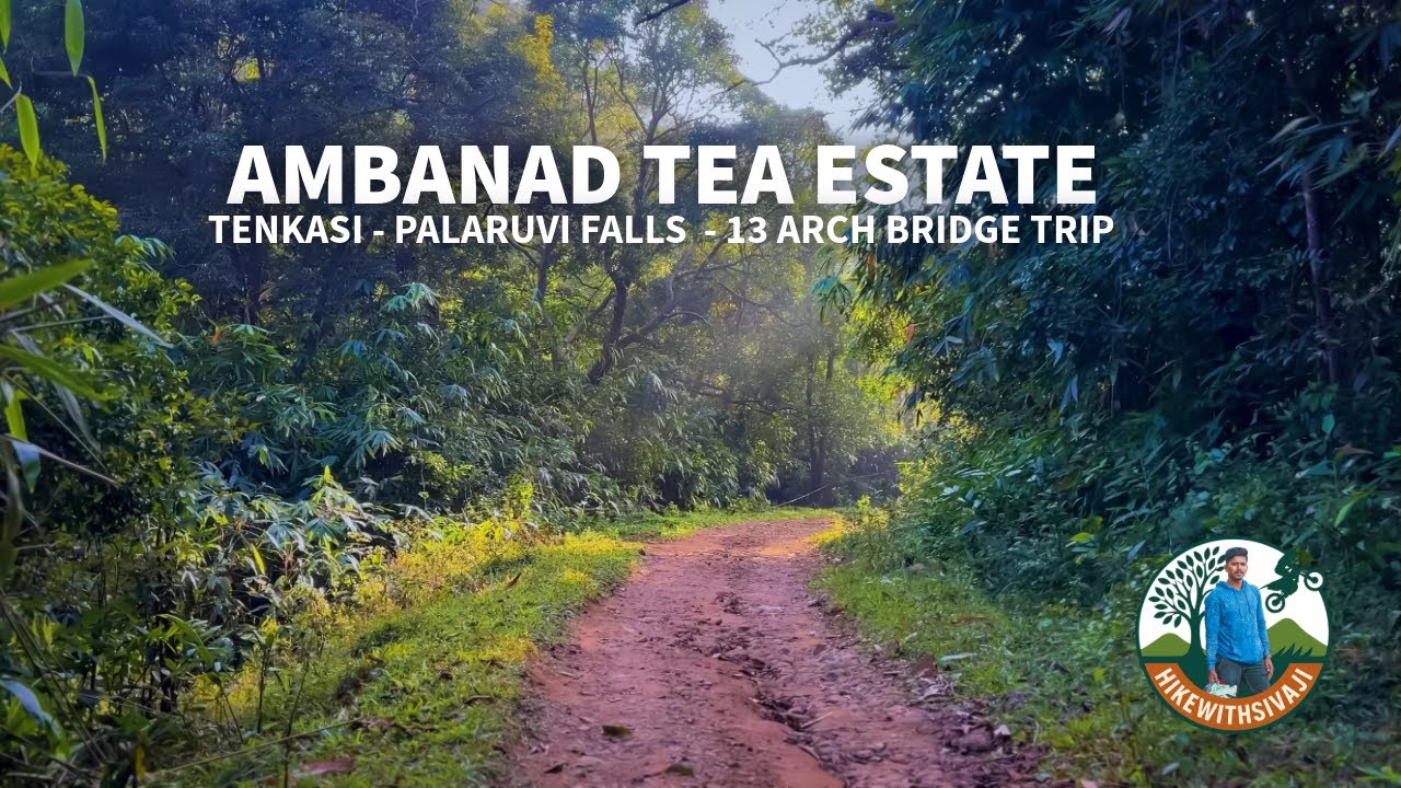 Deep Forest Route of தென்காசி | Palaruvi falls - Tenkasi | Ambanad Hills Kollam | Best Village Route