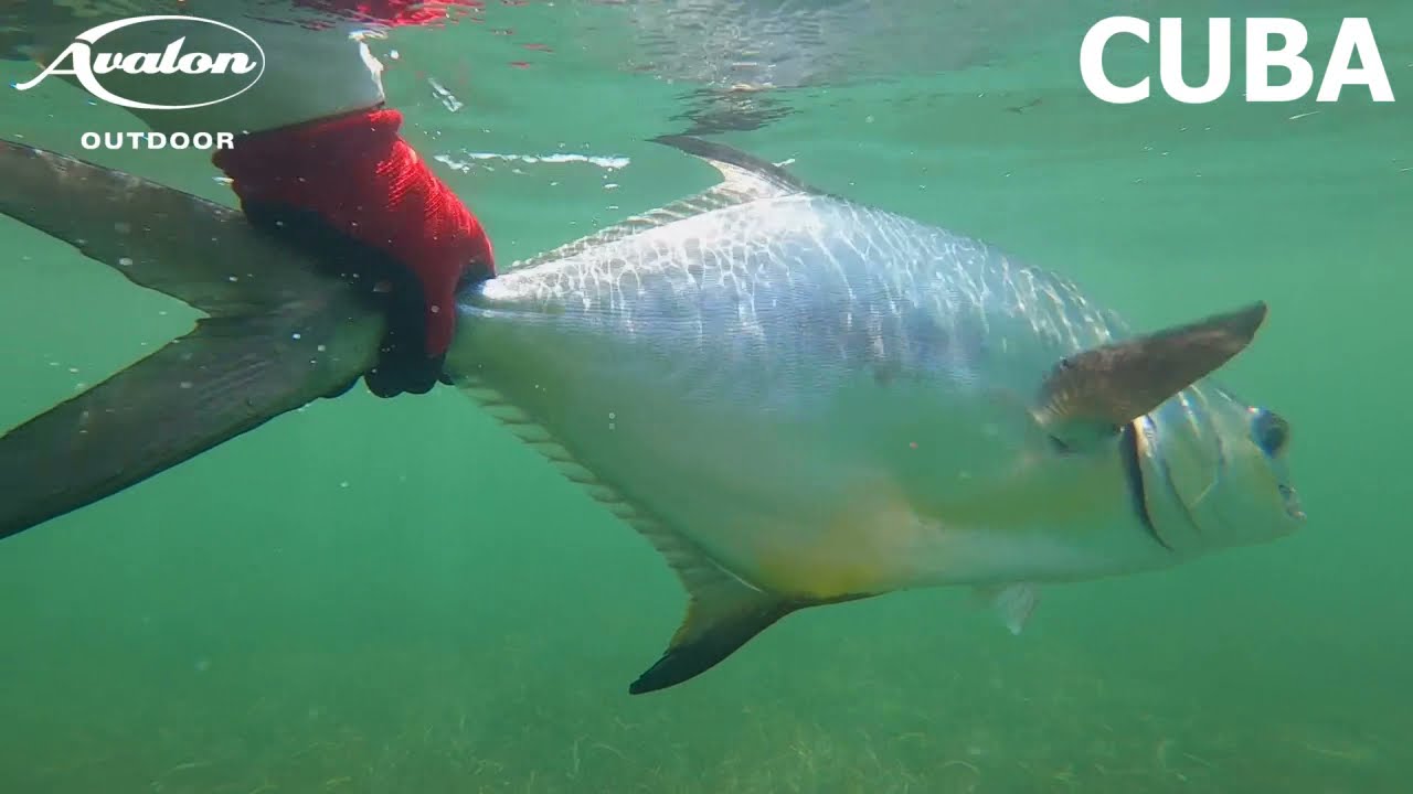Flyfishing in Cuba Jardines de la Reina
