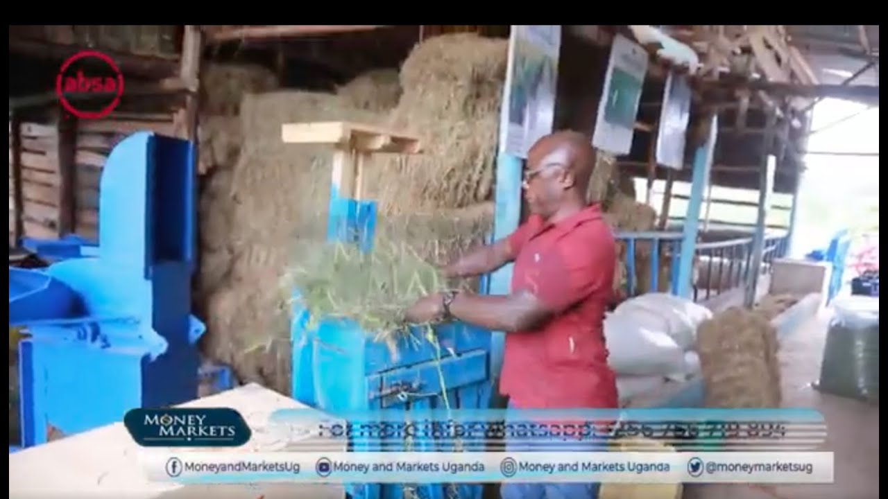 How to Make Hay