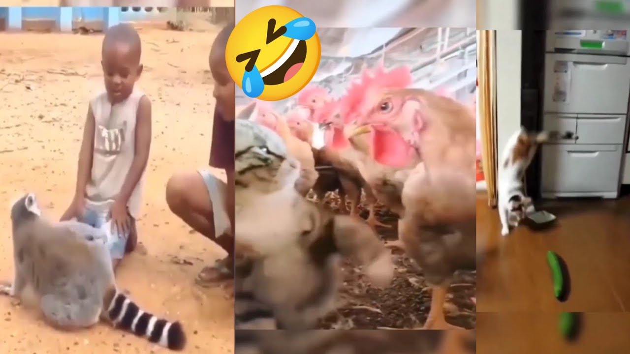 Funny Animals dubbing video 😂🤣