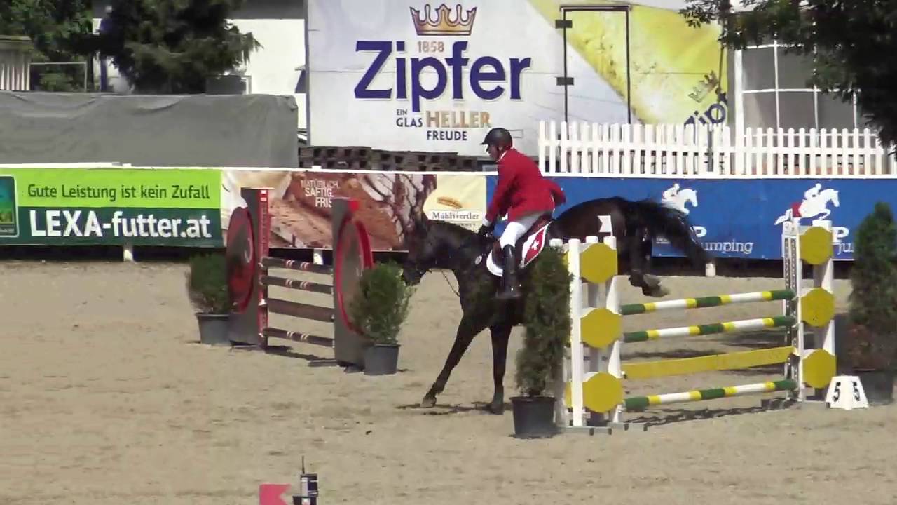 Eurovet Linz 2016 - Imperium and St&eacute;phane Montavon - Finale First Round