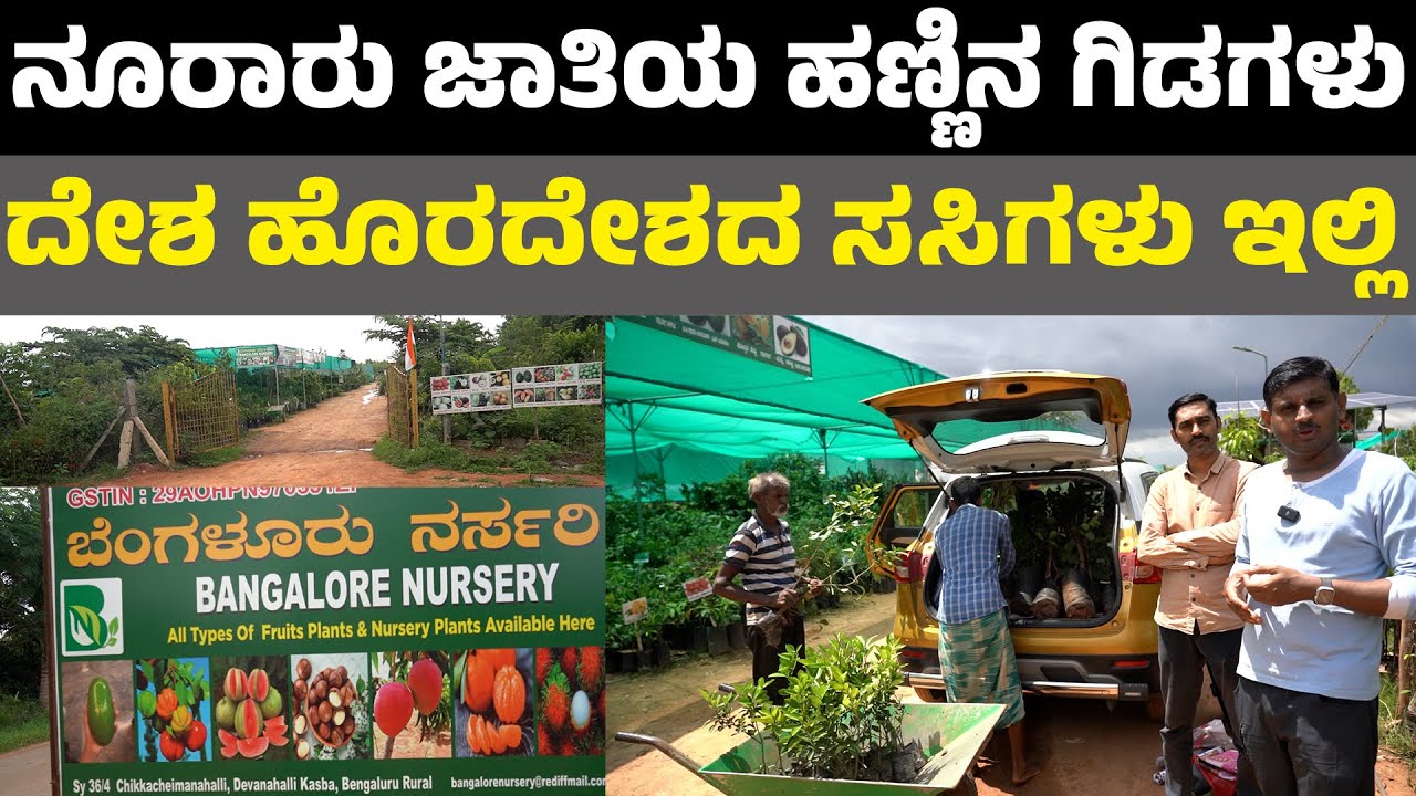 Bengaluru nursery - ದೇಶ ಹೊರದೇಶದ ಸಸಿಗಳು ಇಲ್ಲಿ Biggest Nursery in Bangalore II exotic fruit plants
