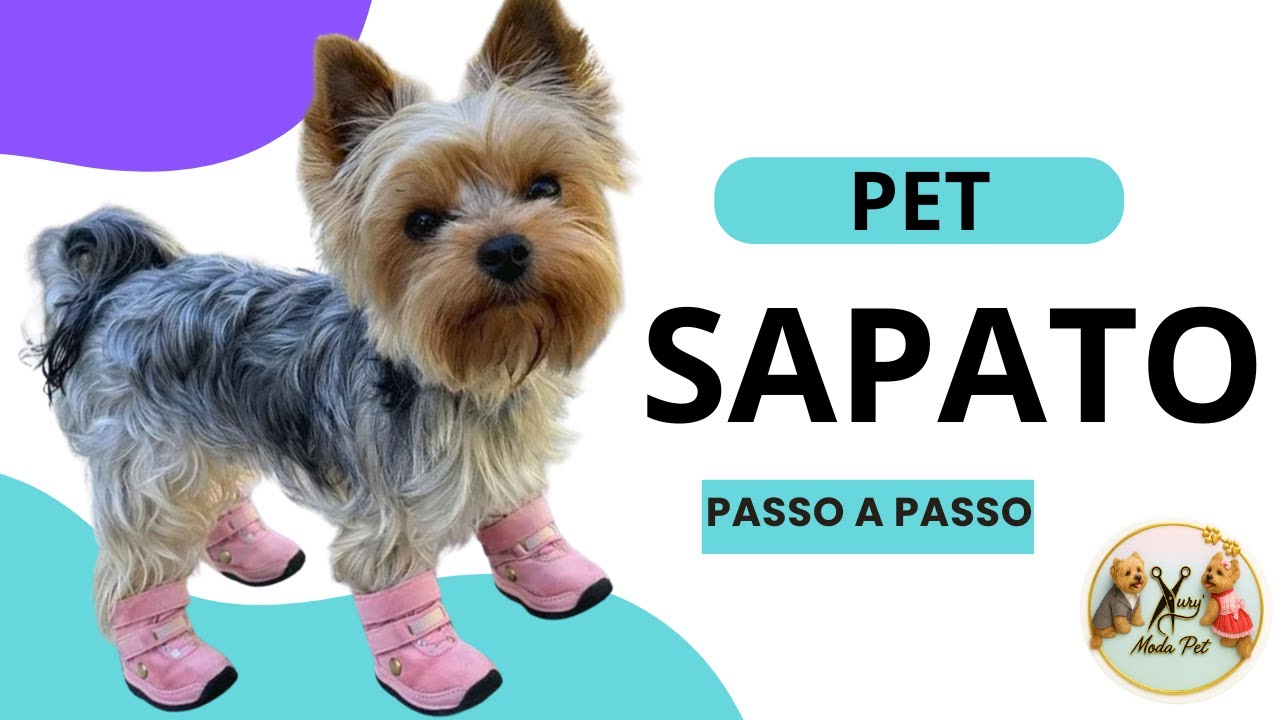 DIY sapatos para cachorros
