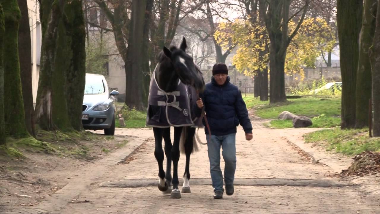 Przed weekendem na Torze Służewiec (odc. 27, 9 i 10 listopada)