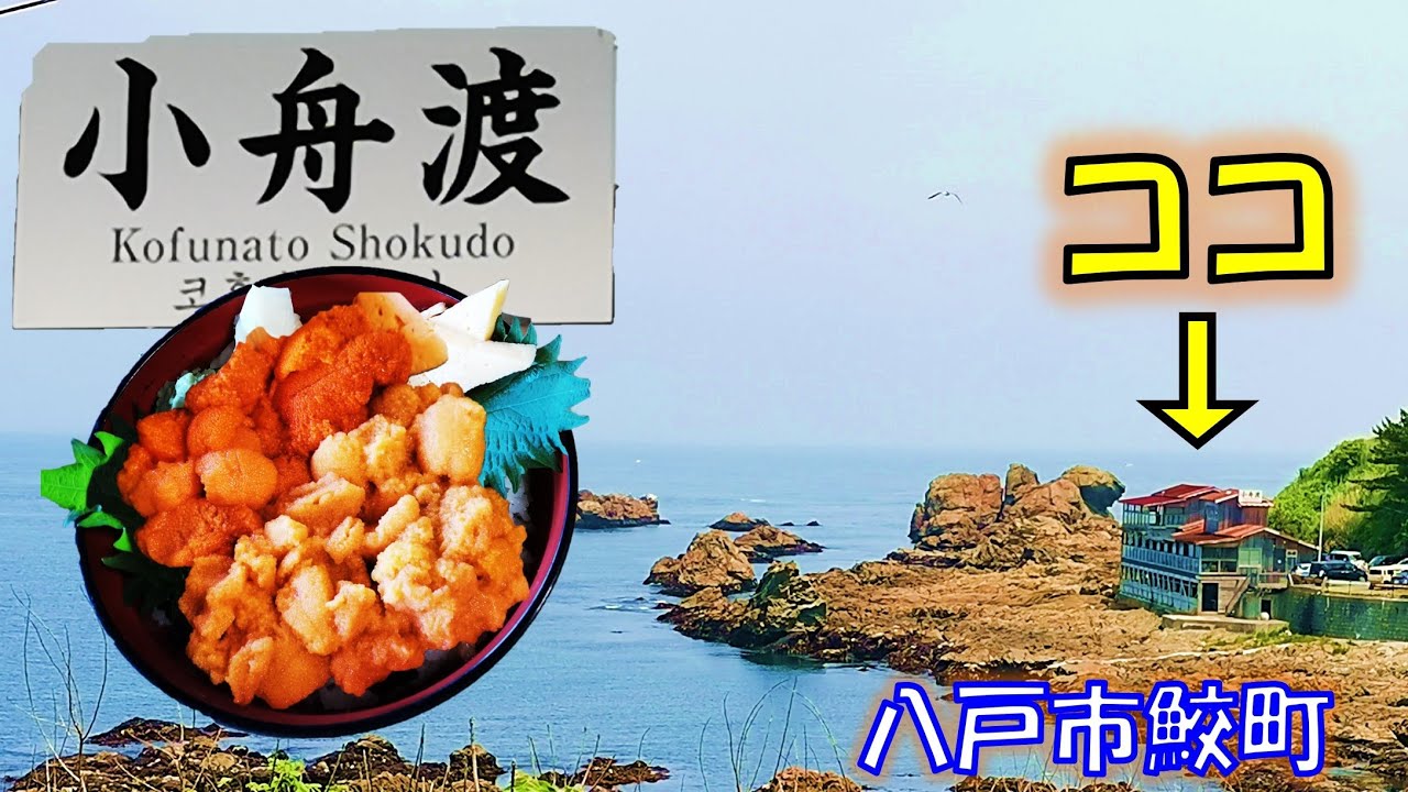 【絶品グルメ】八戸を楽しむ！蕪島近くの太平洋を一望できる小舟渡食堂で生うに丼を食べる。【青森県八戸市】Delicious sea urchin in Hachinohe