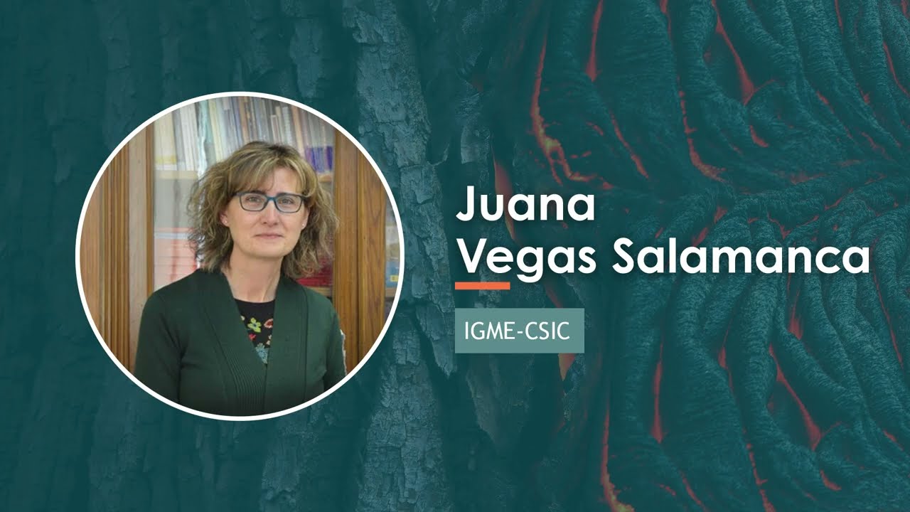 Marine geological heritage, Juana Vegas, IV International Vulcana Symposium.