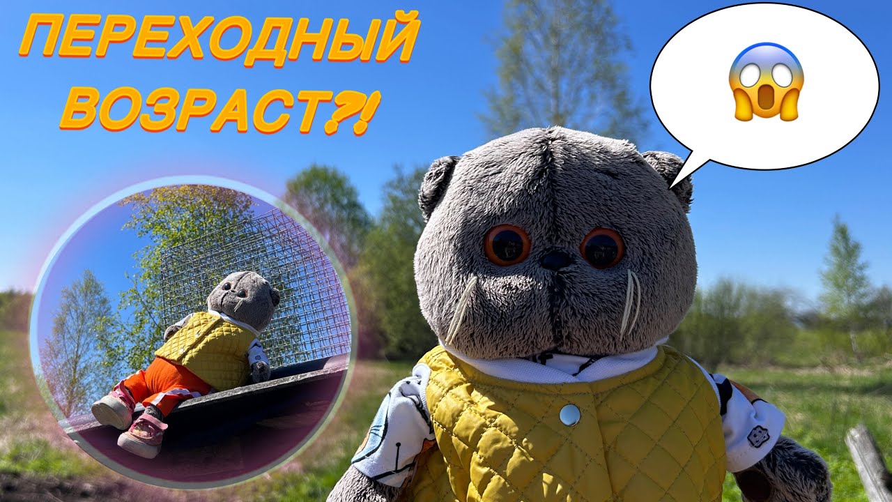 ПРОГУЛКА С БАСИКАМИ | Вредный Басик