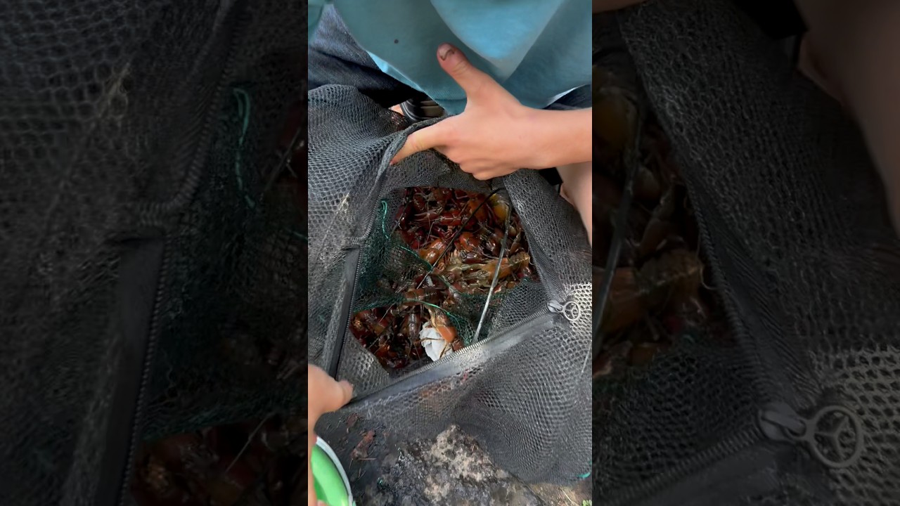 ловля раков на озере Тимоти