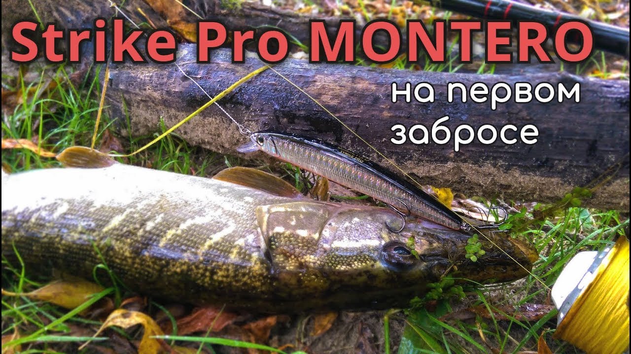 Strike Pro MONTERO щука на первом забросе. Рыбалка с берега.