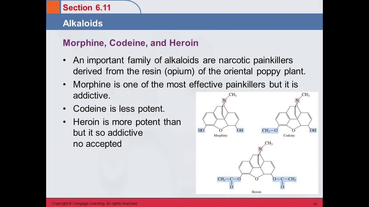 3B 6.11 Alkaloids