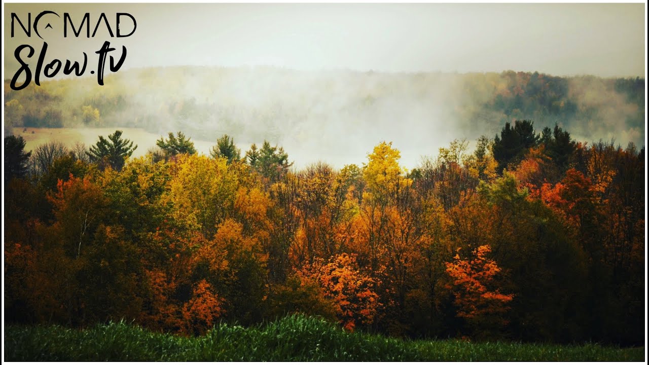 2hr relaxation | Ambient Autumn | Stanstead Memories of Fall of a Rainy Day