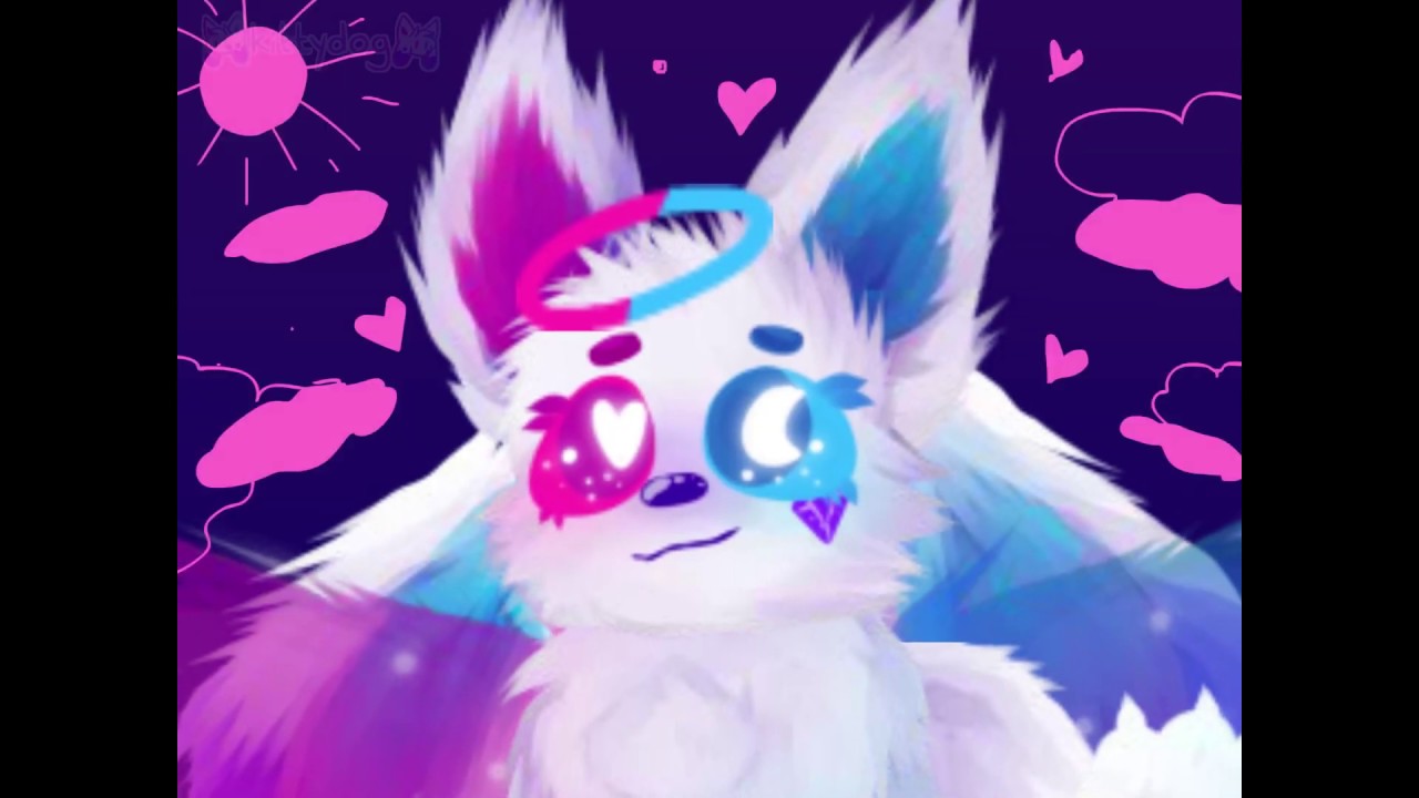 kittydog - floating!