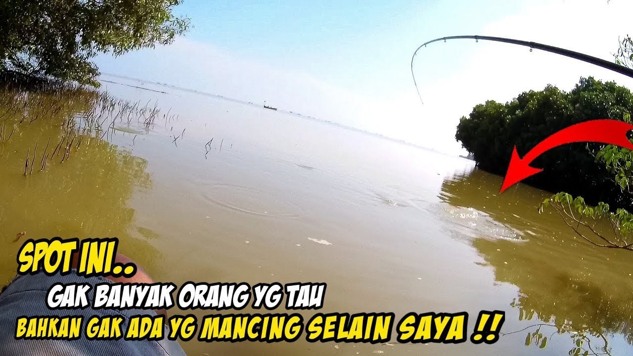 spot blanak babon, disini gak ada yang mancing selain saya..!!