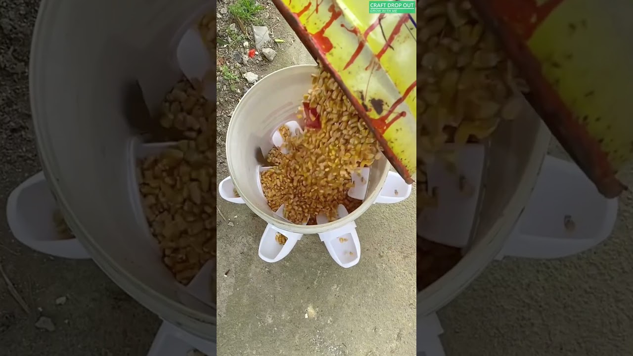 Cleaner feeding setup that saves grain 🐓⚙️