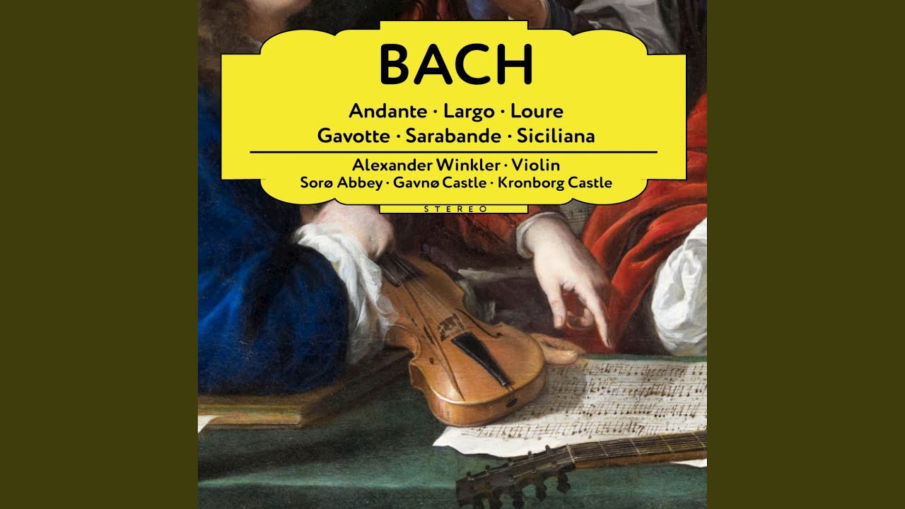 Sonata No.2 in A Minor, BWV 1003: III. Andante