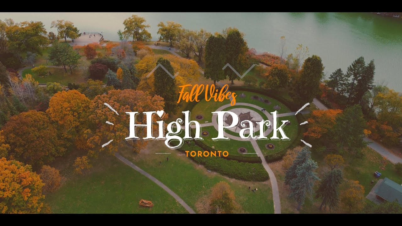Autumn in Toronto: Stunning Fall Colors at High Park 🍁🍂