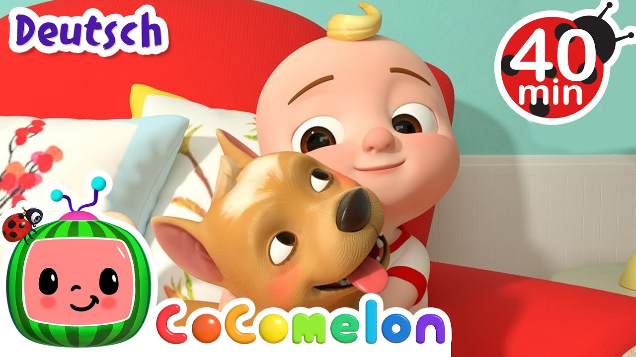 Das kleine Hündchen Bingo | CoComelon Deutsch | Cartoons und Kinderlieder