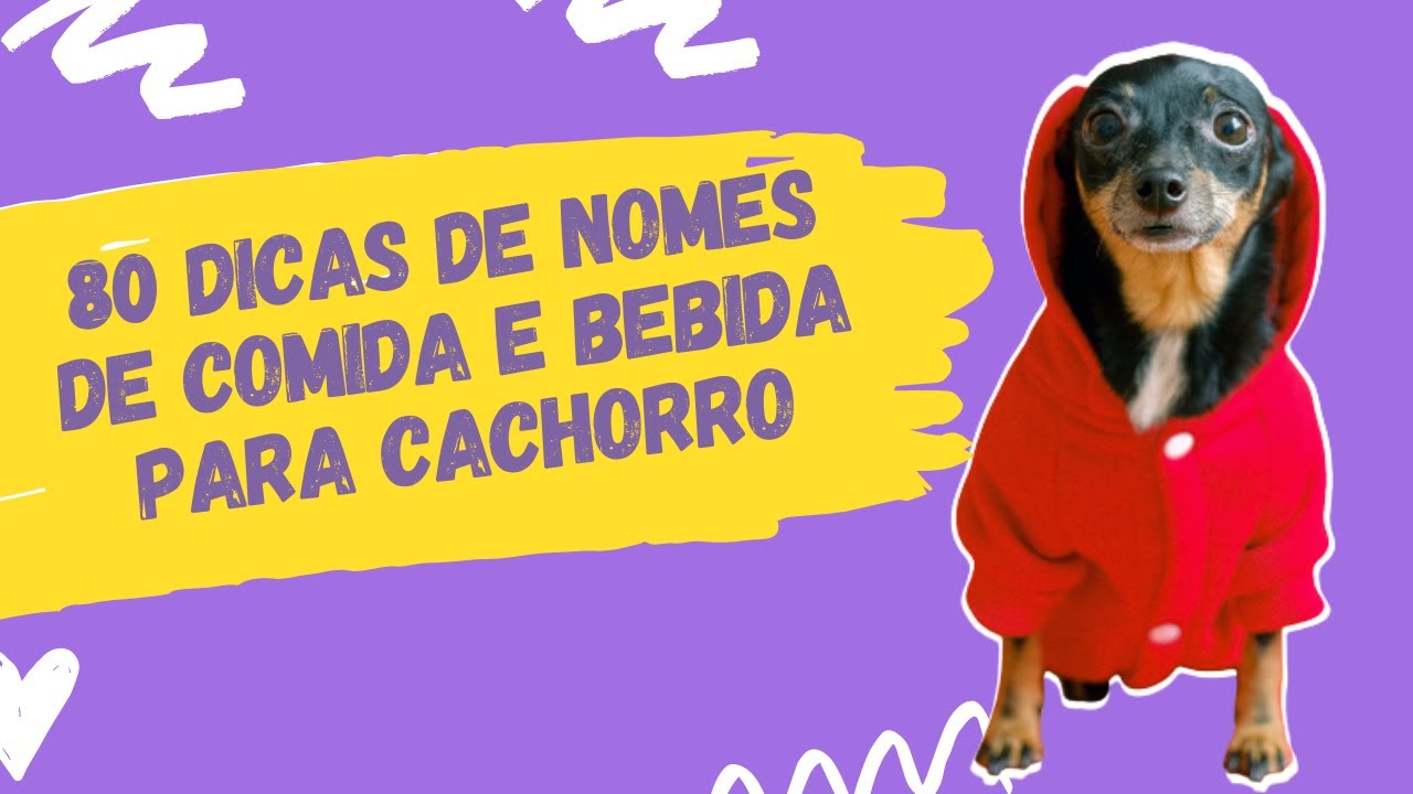 🐶80 Opções de NOMES para CACHORRO Inspirados em COMIDAS e BEBIDAS