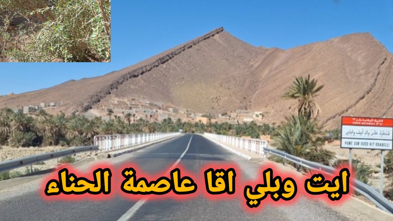 كيف تزرع الحناء في منطقة آيت وبلي آقا إقليم طاطاAit Ouabelli
