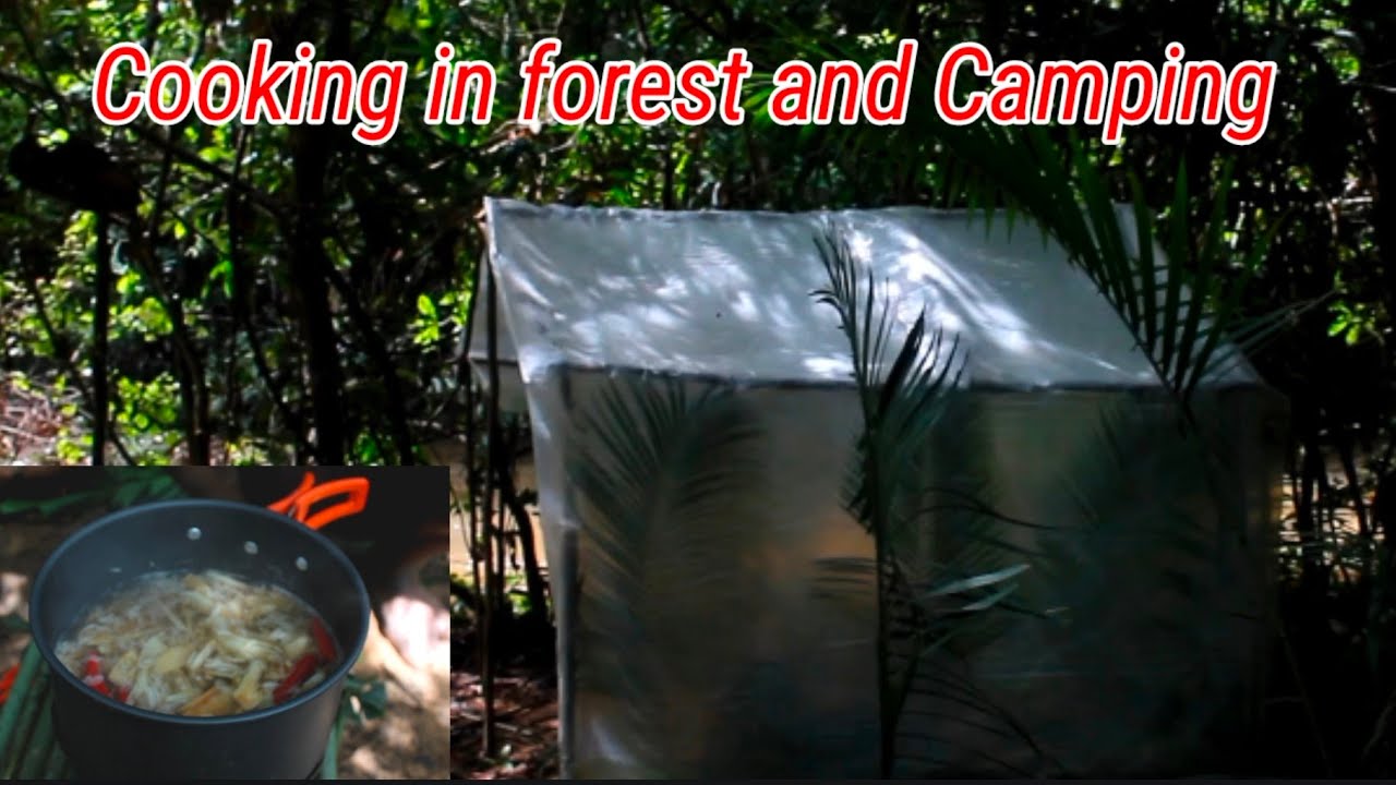 Relaxing natural sounds • Not Solo Camping • Camping in the mountains • Cooking wild soup