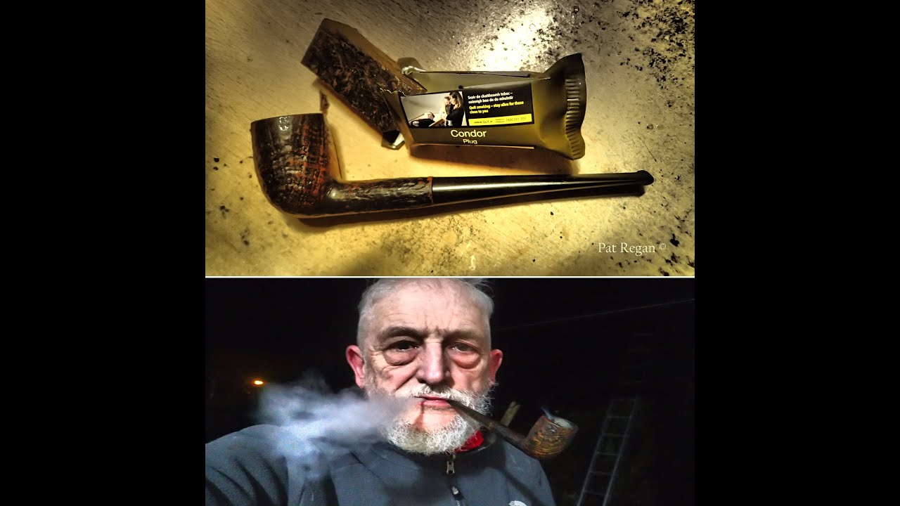 Condor Plug in the Signature briar