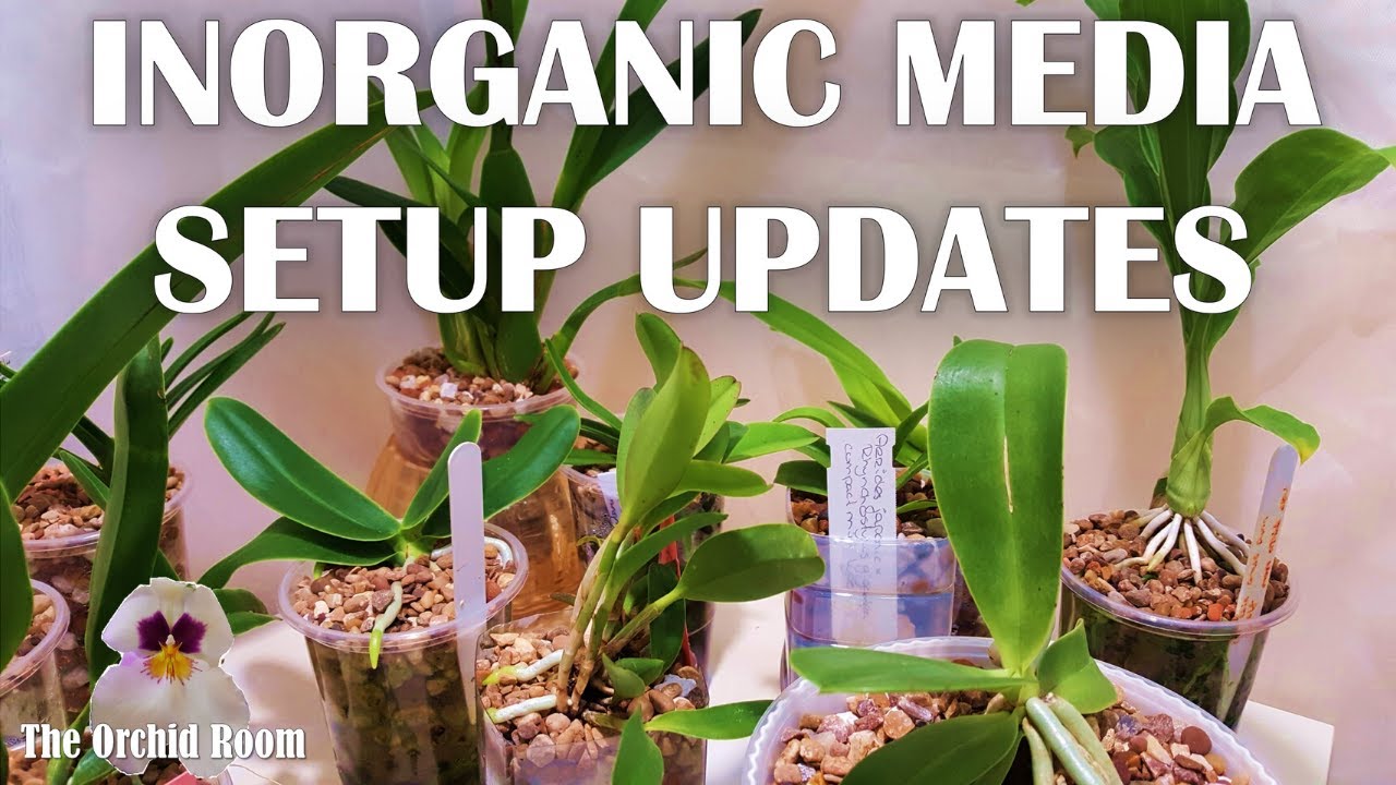 Inorganic Media Trial Results- Pumice, Pebbles, Dry Line Fixes and More!