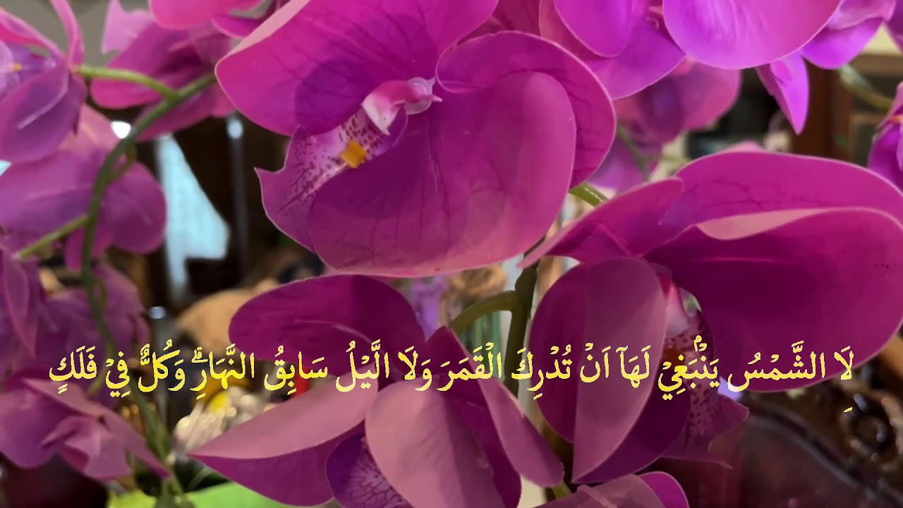 👉 Yosin surasi to‘liq 83 oyat | Yurakni tinchlantiruvchi go‘zal qiroat