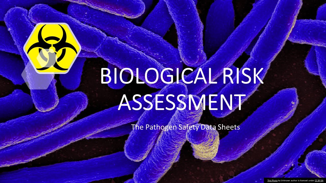 BIORISK ASSESSMENT