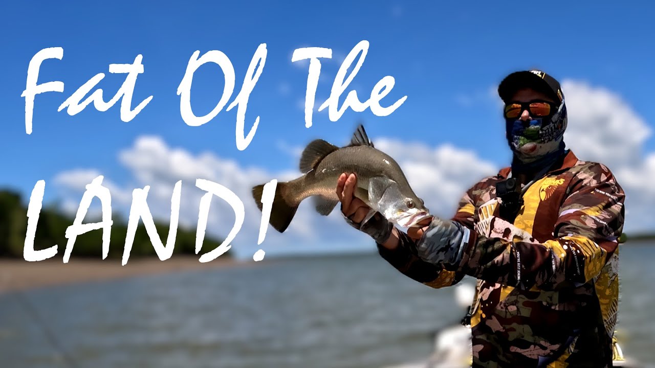 The Harbour Provides A FEAST - Darwin BARRA Fishing