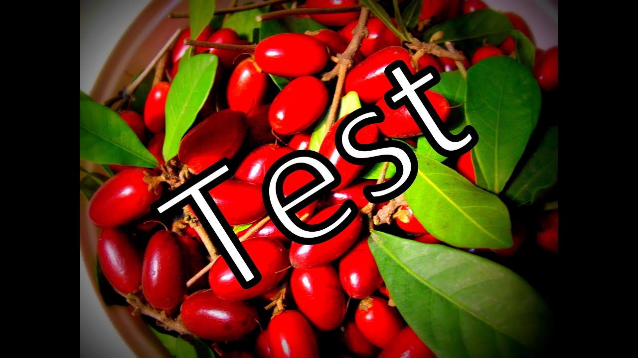 Miracle Berry TEST