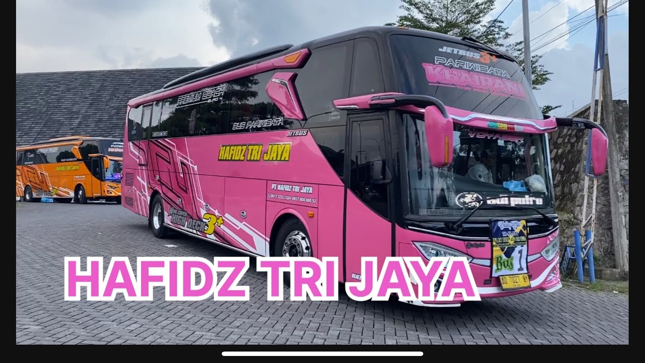 HAFIDZ TRI JAYA - PINK PINK STECU UNYU 😍 - BUS MANIA - CELOSIA BANDUNGAN