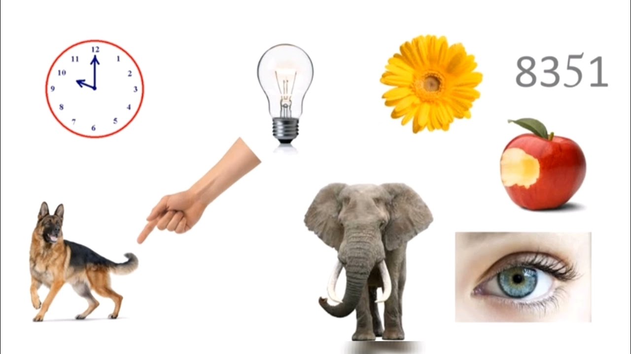 Memory TEST 02 [ ISSB Psychometric Test ]