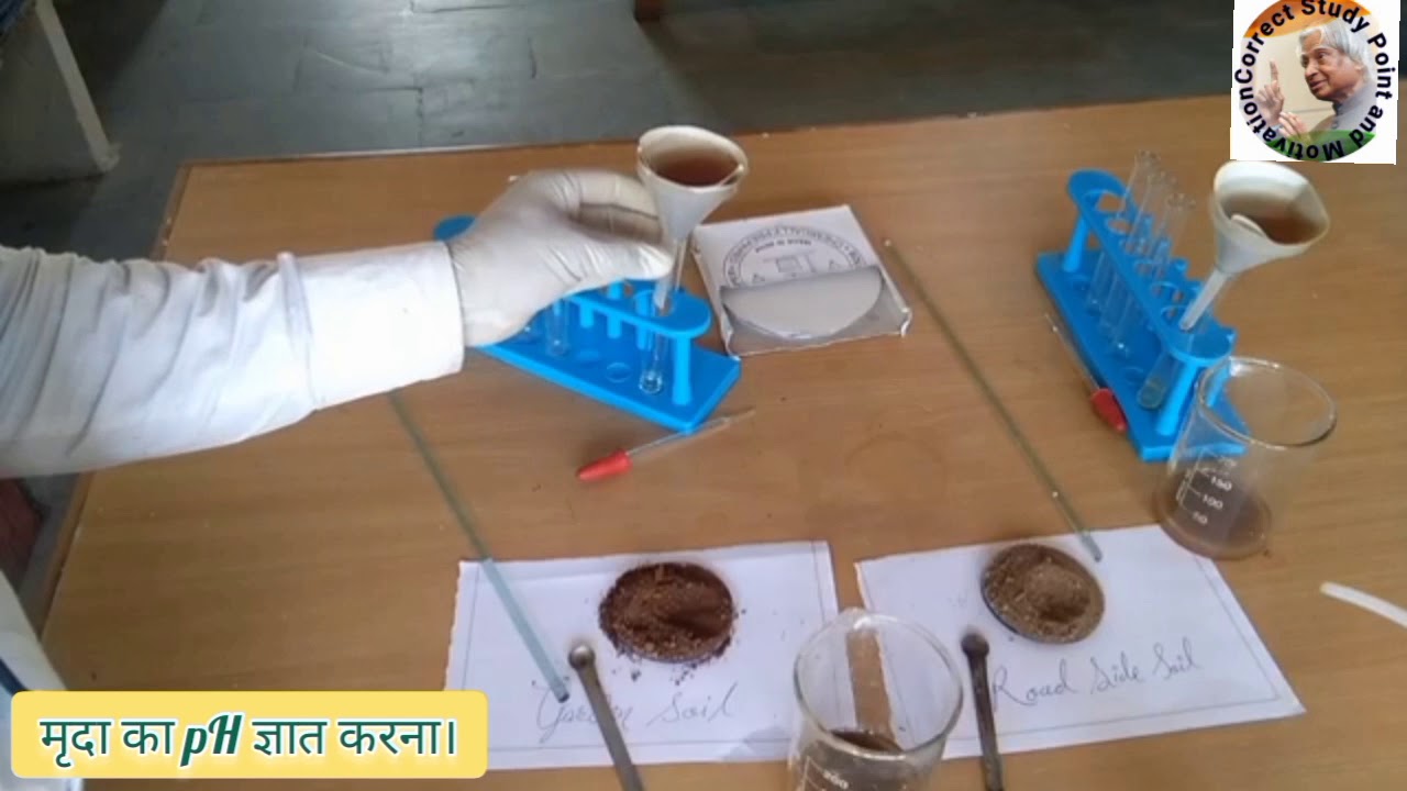 pH of soil (experiment) / मृदा का pH ज्ञात करना।