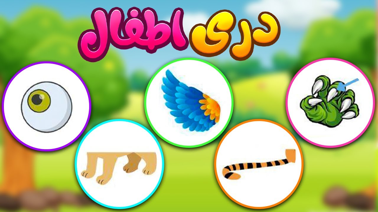 Animal body parts introduction for kids in Dari معرفی اعضای بدن حیوانات برای اطفال دری