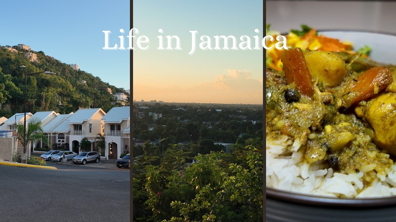 Days in my life | cooking | day off from work | excursion | introvert life