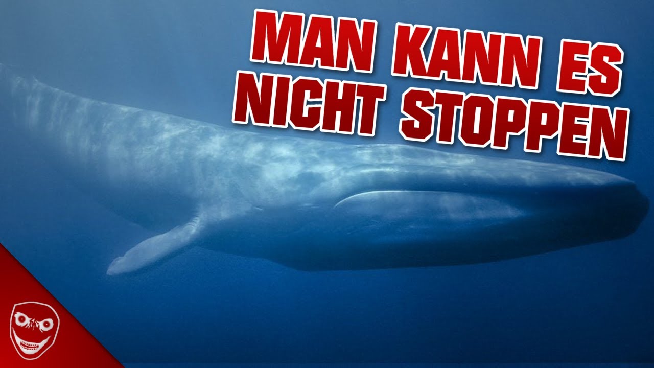 Die Blue Whale Challenge - Wieso man es nicht stoppen kann!