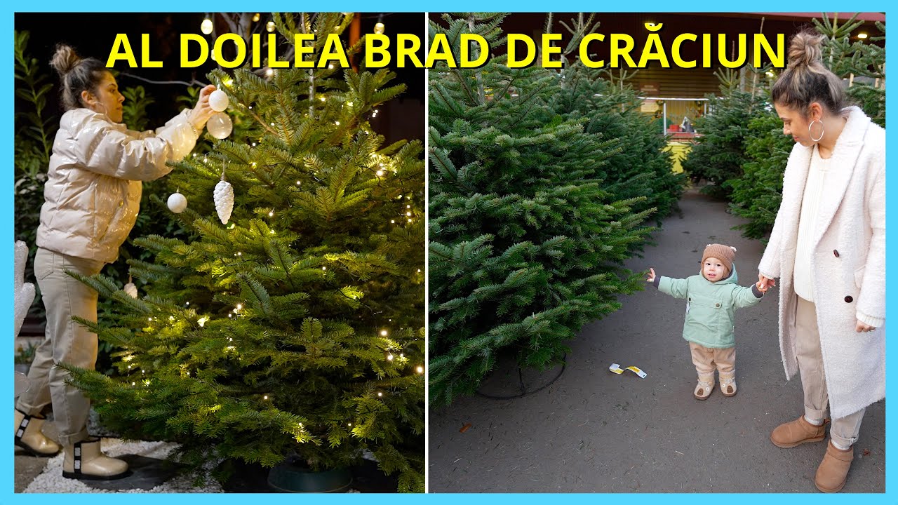 NE-AM FĂCUT AL DOILEA BRAD DE CRĂCIUN! 🎄 (ÎN CURTEA DIN FAȚA CASEI)