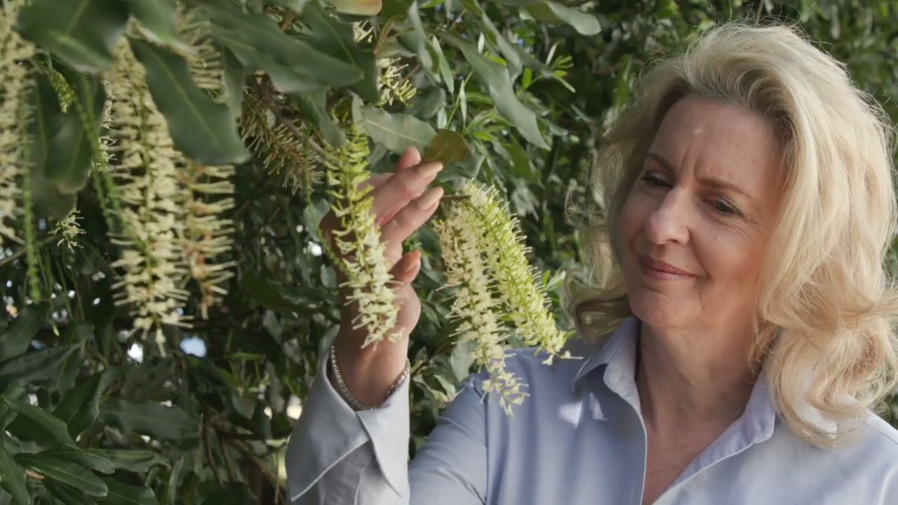Macadamias Australia - who we are
