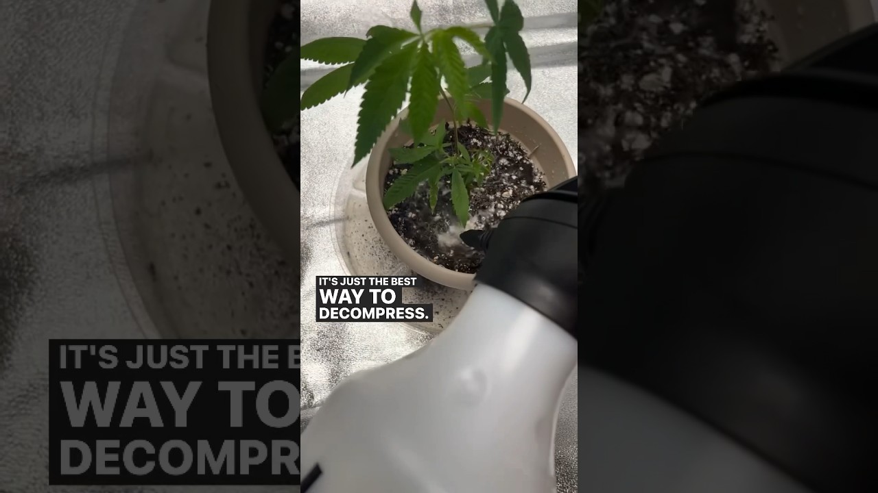 How to become happy in 30 seconds